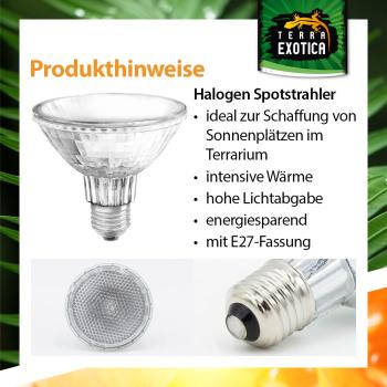 Terra Exotica Halogen Sunspot - Halogen Spotstrahler - 35 Watt